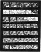 Contact Sheets of C. Eric Lincoln, circa 1985