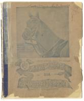 Neighborhood Union Survey, 1914