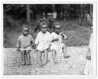 Mississippi Flood of 1927, 1927