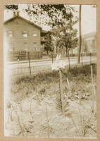 Yard with Flowers, circa 1915