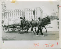 Teenagers Ride on a Wagon Down a Washington, D.C. Street, 1968