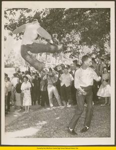 White student punches hanging effigy