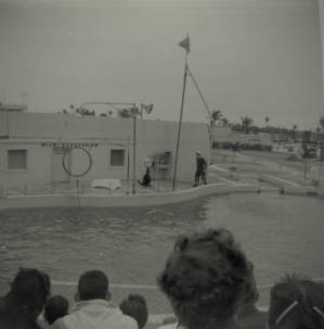 Sea lion show at the Miami Seaquarium