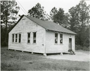 Ray City (African American), Berrien County