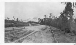Road construction, Florida, 1936