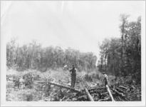 Kissimmee Drainage Canals, September 9, 1936