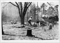 Golf course improvement, Tallahassee, Florida, May 6, 1936