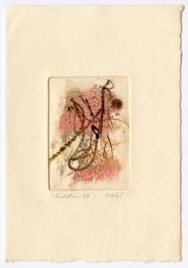 Special Christmas Cards