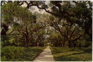 Stuart, "Teddy", 1967