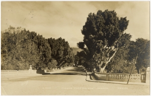Yaryan, Ted, 1946-1955