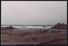 [Seascape taken during Rosa Parks' visit to Monterey Peninsula College, Monterey, California, 1990] [graphic].