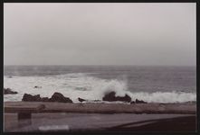 [Seascape taken during Rosa Parks' visit to Monterey Peninsula College, Monterey, California, 1990] [graphic].