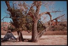 [Views of the Grand Canyon, Arizona, 1996] [graphic].