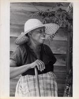 Williamsburg County, South Carolina 2