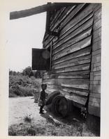 Williamsburg County, South Carolina 11