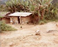 Ronnie Moore in Africa 3