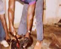 Ronnie Moore in Africa 12