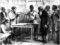 Voter Registration