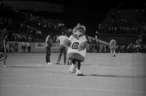 USC vs. Cincinnati, Cocky