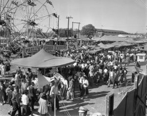 Negro State Fair, midway scenes